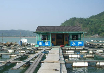 褔鼎市经济总量_经济(3)